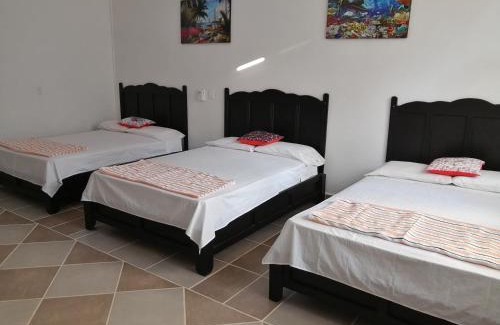 Lazaro Cardenas Hotel | Hotel Tiktaalik