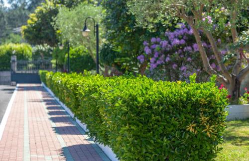 Vichona Hotel | Hotel Turimar