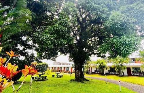 Barrio Dora Hotel | Hotel Villa Fortuna