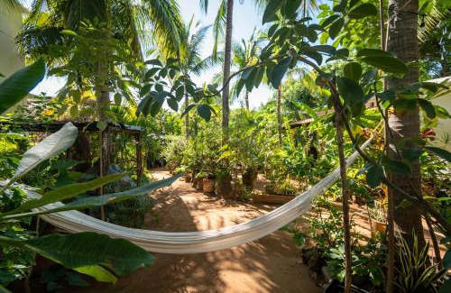Carrizalillo Hotel | Hotel Villa Mozart y Macondo