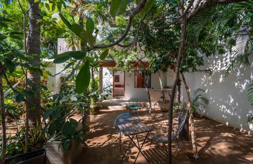 Carrizalillo Hotel | Hotel Villa Mozart y Macondo