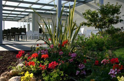 Casal Borsetti Hotel | Hotel Villa Robinia