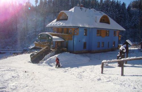 Janske Lazne Hotel | Hotel Vladimír