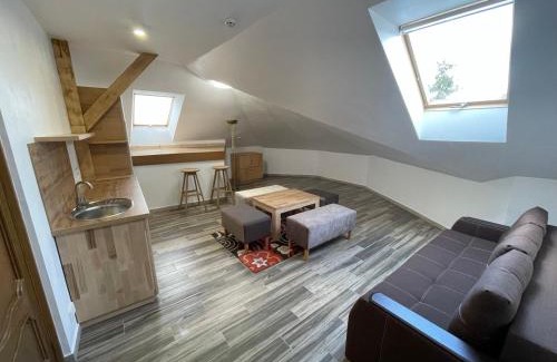 Zabolotiv Hotel | Hotel Zorepad