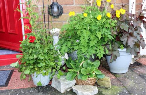 Limavady House | HotTub-Nature-FamilyFriendly-WiFi-Parking