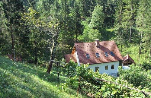 Tolmin House | House Dolenja Trebuša