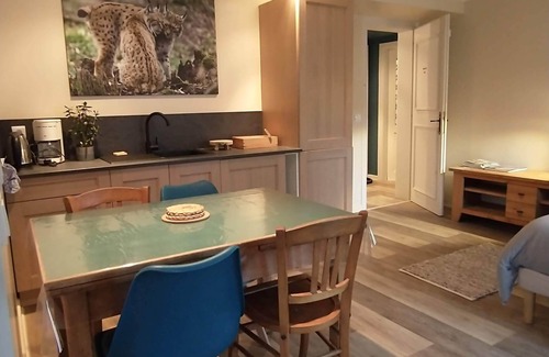 Obersteinbach House | House for up to 10 people. Garden (1 hectare) shared with owners.