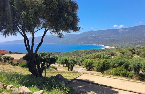 Serra-di-Ferro House | House - Gulf of Valinco