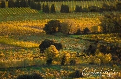 Chateauneuf-du-Pape House | House in the village of Chateauneuf du Pape winemakers