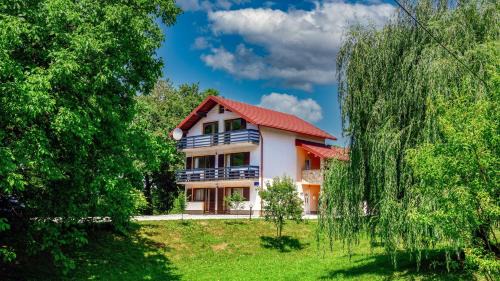 Irinovac Apartment | House Jole