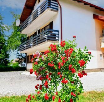 Irinovac Apartment | House Jole