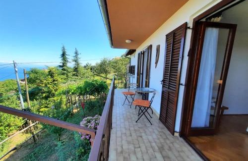 Opatija House | House Milica