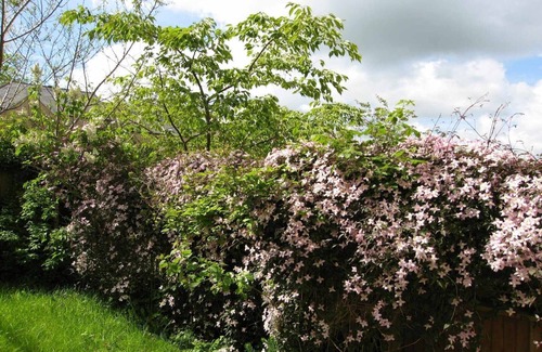 Chipping Norton Cottage | House on the Green