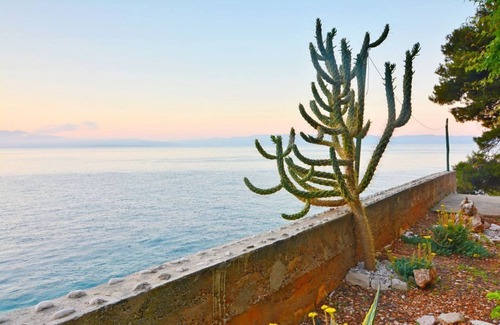 Gdinj House | House Slavka (30541-K1) - Gdinj - island Hvar