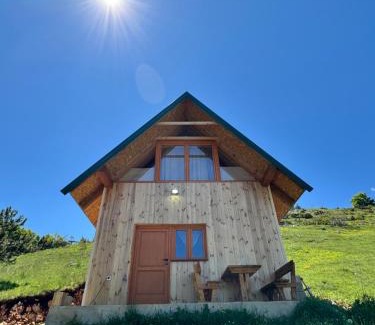 Zabljak Bed & Breakfast | Household Ušćumlić - Oaza mira
