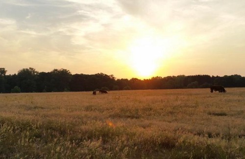 Swalmen Bed & Breakfast | Houterhoeve