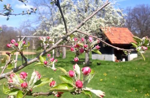 Swalmen Bed & Breakfast | Houterhoeve