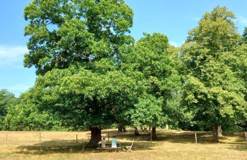 Swalmen Bed & Breakfast | Houterhoeve