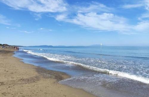 Donoratico House | Huge Holiday Home in Marina di Castagneto Carducci near Sea