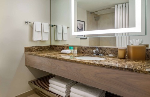 Downtown Jacksonville Hotel | Hyatt Regency Jacksonville
