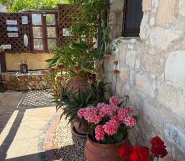 Pissouri House | 'I Folia' Village house with roof garden and terrace