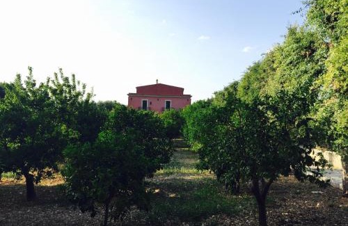 Contrada Convento Bed & Breakfast | I Frangiventi