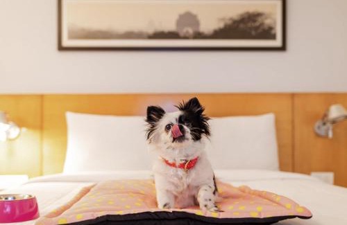 Sholinganallur Hotel | Ibis Chennai OMR - An Accor Brand