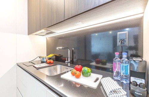 Lugano Apartment | Icon H 307 Suite Micro-living