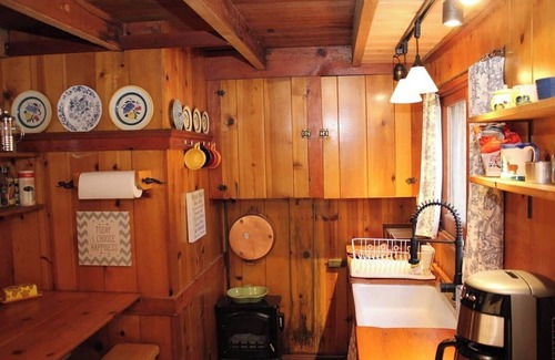 Idyllwild Cabin | Idyllcottage: Located in Historic District with Spa, Fireplace, AC, Fenced-Patio, and Pet-Friendly!
