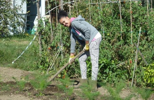 Viterbo House | Il CASALE NELLA TUSCIA. BIOFARM. Casa nel Giardino