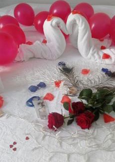 Bocale Bed & Breakfast | Il corallo azzurro