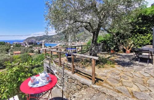 Levanto Apartment | il Frantoio del Mesco - Levanto