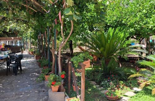 Piazza-Tralia-Pendolo Apartment | Il Gelso