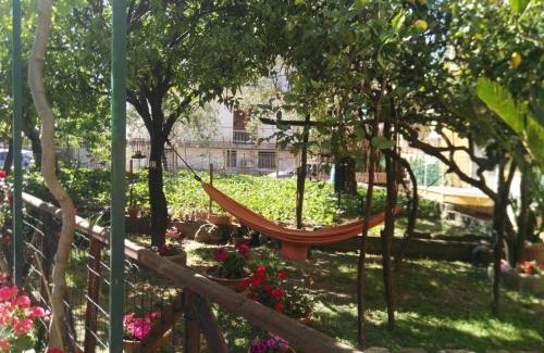 Piazza-Tralia-Pendolo Apartment | Il Gelso