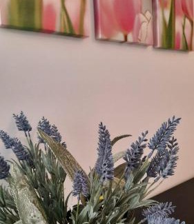 Piazza-Tralia-Pendolo Apartment | Il Gelso