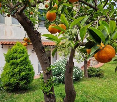 Meta Apartment | Il Giardino dei Gigli