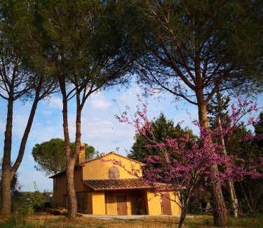 Guardistallo Villa | Il Montedoro