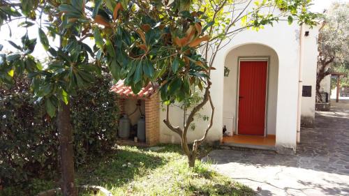 Pollica House | Il Nido Sul Mare