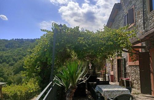 Barberino di Mugello House | Il Podere di Massi