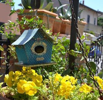 Porto Fuori Bed & Breakfast | Il Sentiero Del Cuore B&B