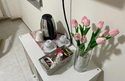 Marcianise House | Il Tulipano