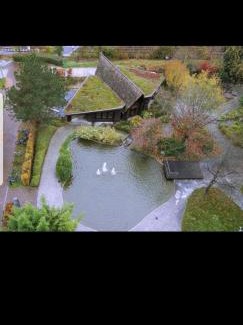 Sternhaule Apartment | IM SI-CENTRUM 1 ZIMMER APART#MUSICAL#MESSE#Flughafen