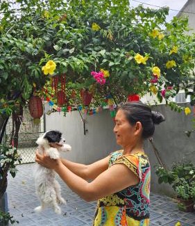 Gia Vien House | Immersive Homestay Ninh Binh