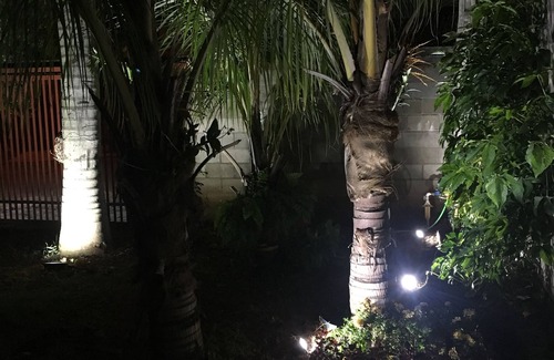 Holambra House | Imperial Palm