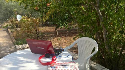Cove Tri Zala (Zrnovo) House | in Korcula from now only for Quest Quests without special requests Hvala