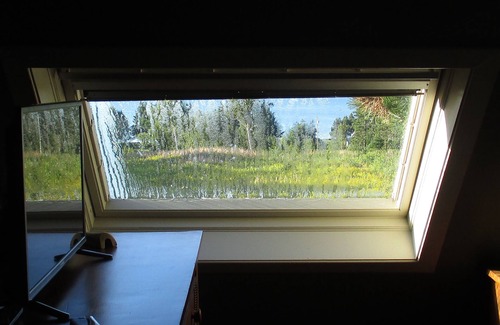 Wood Islands Cottage | In Need Of Vitamin Sea? We’ve Got You Covered