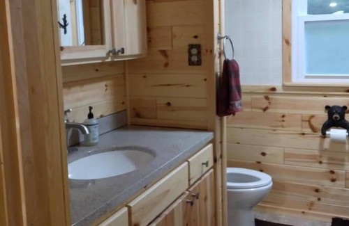 Atlanta Cabin | In the heart of Michigan's Elk Country...on the bank of Crooked Creek & 20 acres