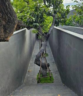 Kanchanaburi Hotel | inchantreemeedao