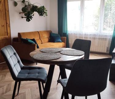Sandomierz Apartment | Industrial apartament