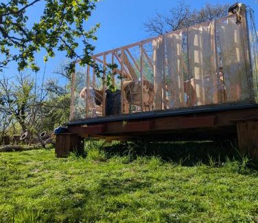 Pagny-sur-Morselle Other | Insolite Cabane du Rêveur